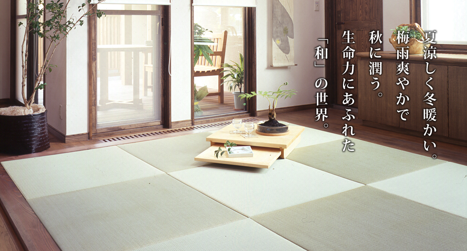 �ė������~�g�����B�~�J�u�₩�ŏH�ɏ����B�����͂ɂ��ӂꂽ�u�a�v�̐��E�B