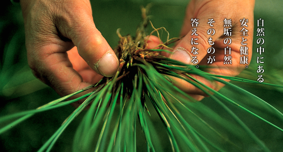 ���R�̒��ɂ�����S�ƌ��N�B���C�̎��R���̂��̂������ɂȂ�B